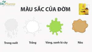 Bảng 1: Nhận diện bệnh lý qua màu sắc đờm và hướng dẫn xử trí tại nhà 1