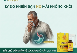 Lý do khiến bạn ho mãi không khỏi