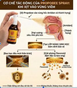 3.2. Propobee – giải pháp đưa hoạt chất bám dính vào đúng đích tổn thương 1