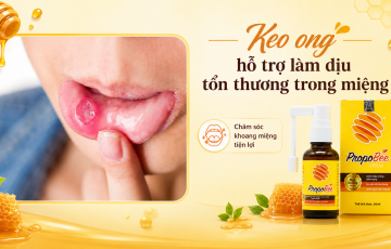 Xịt họng keo ong có tác dụng gì? Cảnh báo sai lầm khi lựa chọn sản phẩm Xịt họng keo ong có tác dụng gì? Cảnh báo sai lầm khi lựa chọn sản phẩm