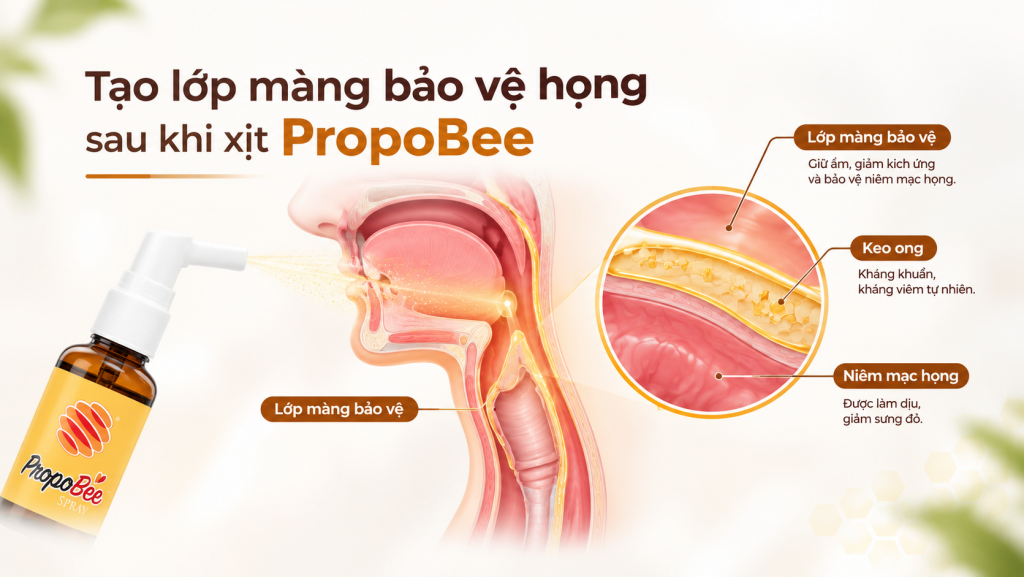 tạo lớp màng bảo vệ sau khi xịt