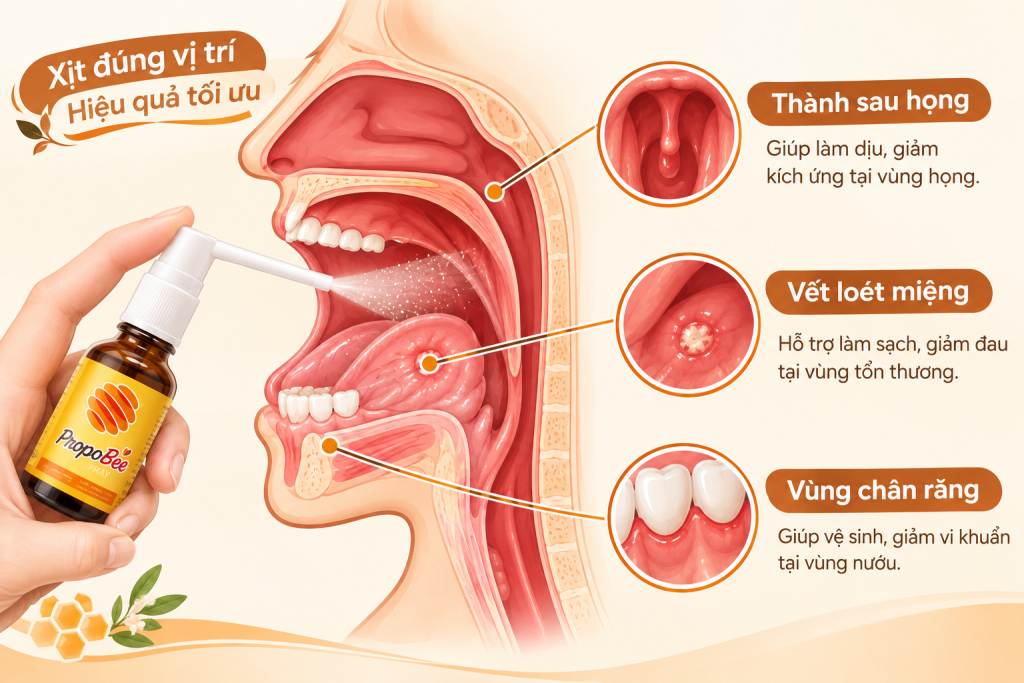 4. Các bước thực hiện đúng cách 1 Xịt đúng vị trí theo từng tình huống sử dụng