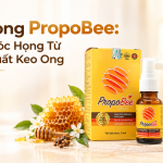 Xịt họng PropoBee: Chăm sóc họng từ chiết xuất keo ong